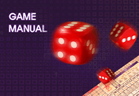 GAME MANUAL